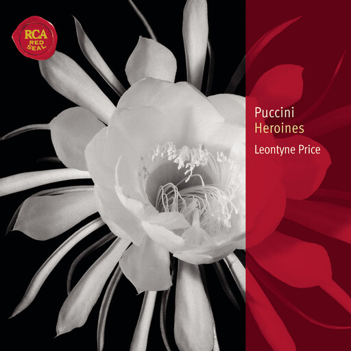 性生交大片免费全黄拿手过摸
